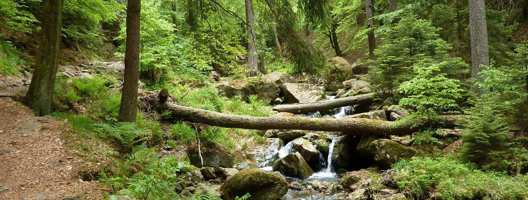 Bei den Ilsefällen (Foto: Andreas Lehmberg)