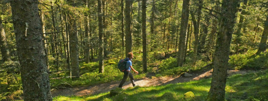 GR®5 - Traversée du Massif des Vosges