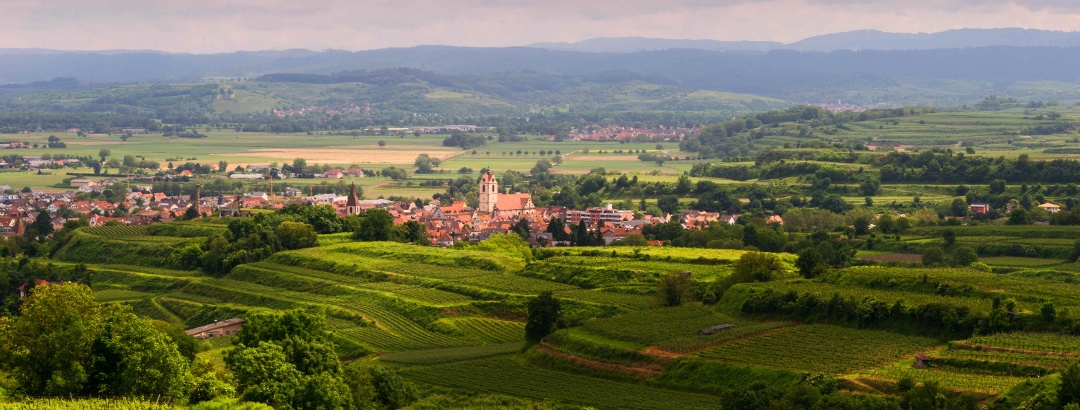 Scenic landscape in the Kaiserstuhl area