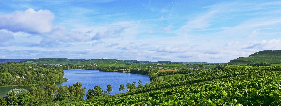 Wine, Land, River: Cycling Paradise Baden-Wuerttemberg