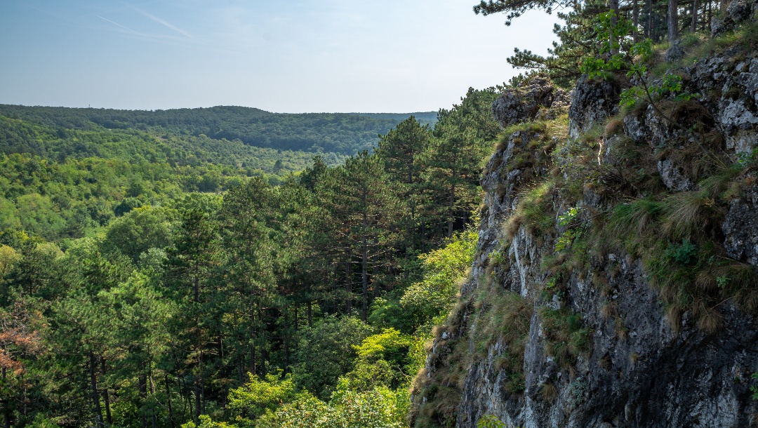 The dolomite outcrops of Koloska Rocks