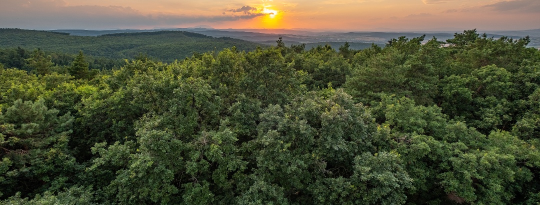 A Schneeberg és a Rax is feltűnik nyugat felé a Várhelyről