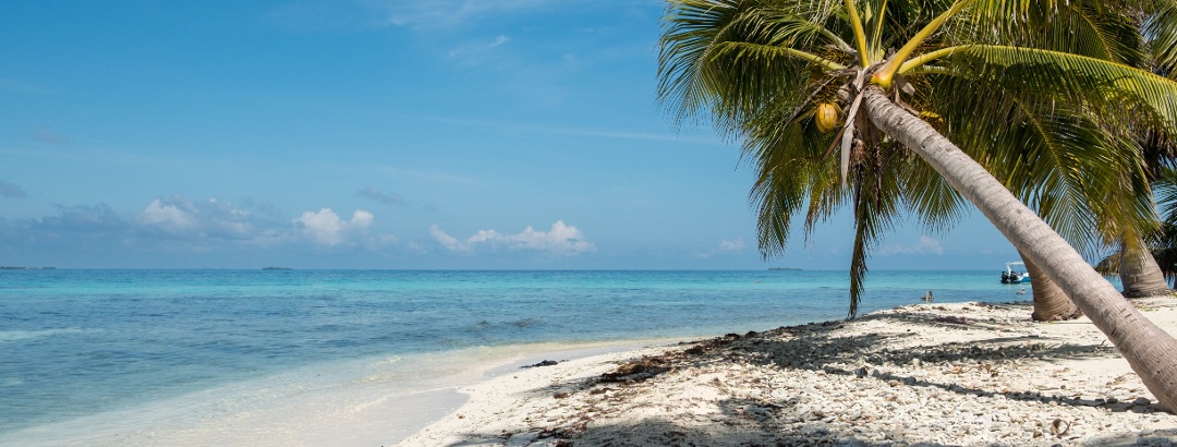 Tropical beach on the island Laughing Bird Cay