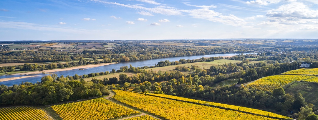 Vignoble de Savennières