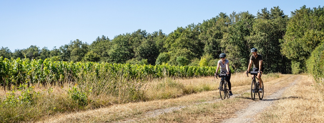 Circuit gravel Angers entre Loire et vignoble